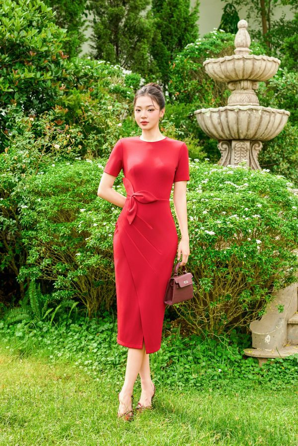 Đầm Velvet Rose Elegance Dress, DK8864