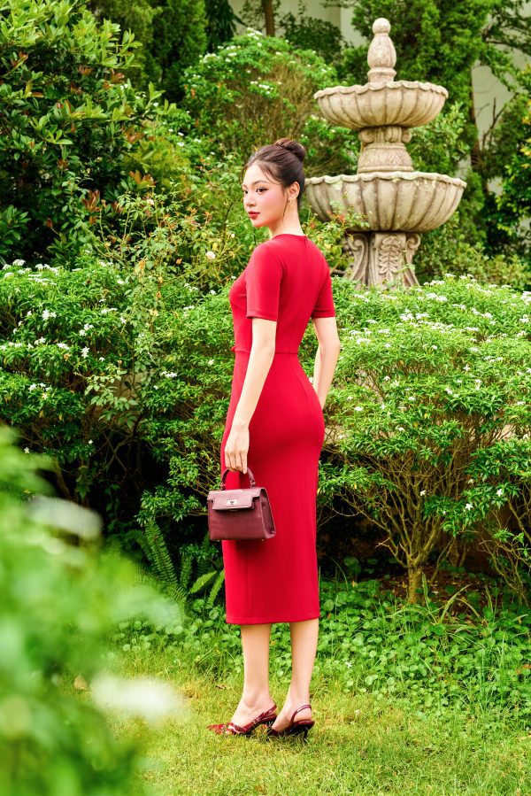 Đầm Velvet Rose Elegance Dress, DK8864 - Ảnh 5
