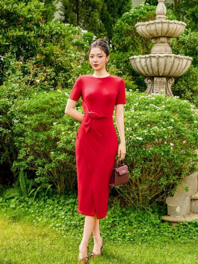 Đầm Velvet Rose Elegance Dress, DK8864